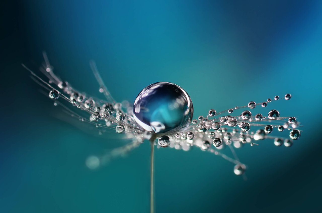 Water Bubble Banner.